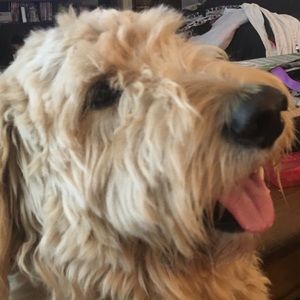 Meet your Posher, Tamara